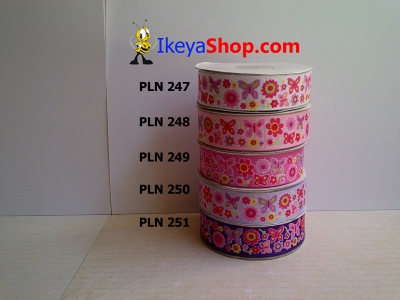 Pita PLN 247 251  large2